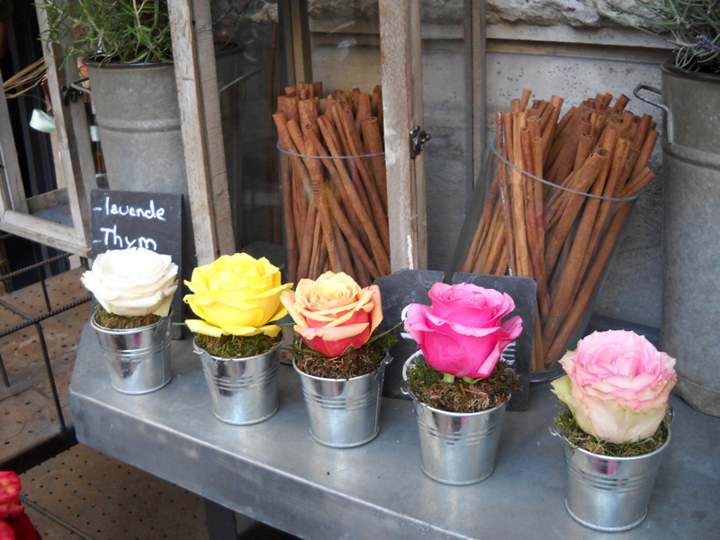 flowers in a row in shop paris 2010