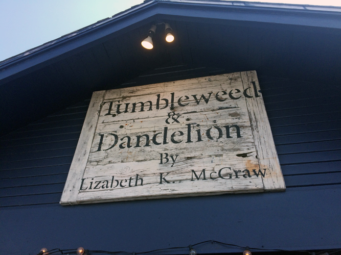 tumbleweed and dandelion 1