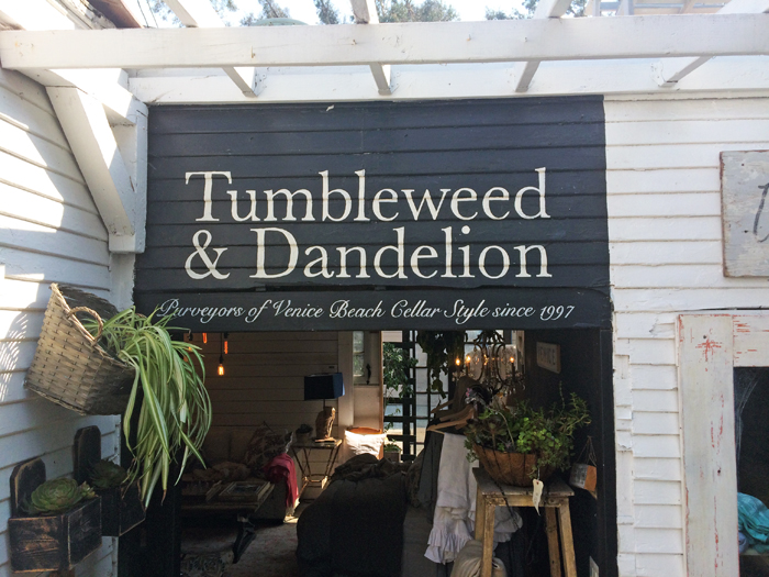 tumbleweed and dandelion 2