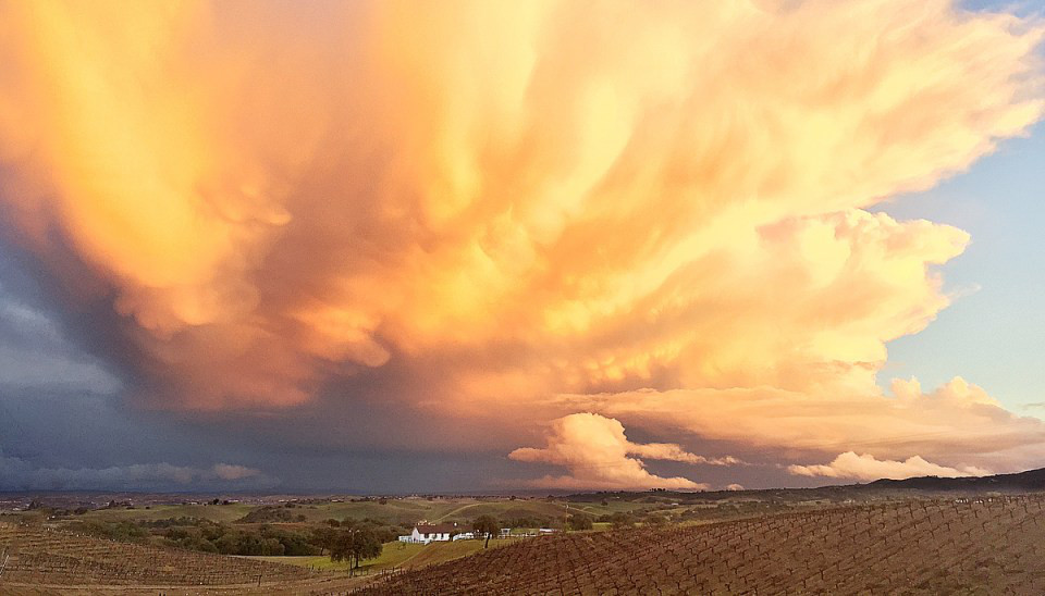 694b06_b2e8031a83384f8eb4eb74b3ba4cf876~mv2