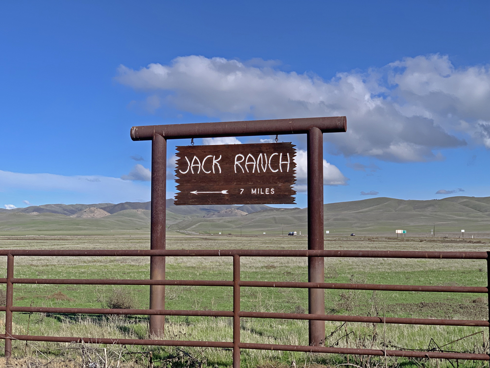 Cow Town | Life In Central California Wine Country | Venice & Vine