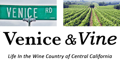 Life In Central California Wine Country | Venice & Vine